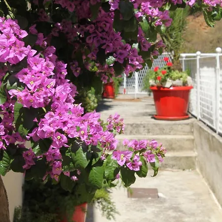 Apartamento With A Parking Space Podgora, Makarska - 6847 Podgora (Split-Dalmatia)