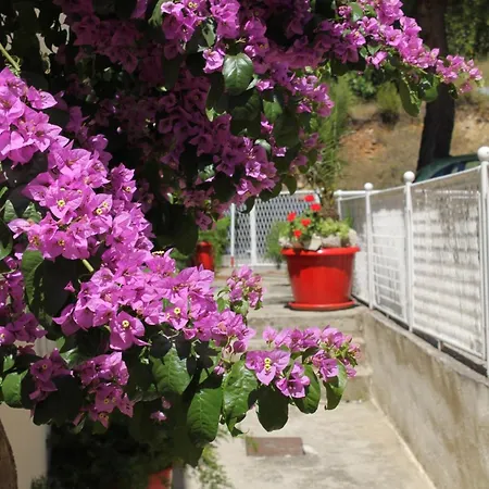 Apartamento With A Parking Space Podgora, Makarska - 6847